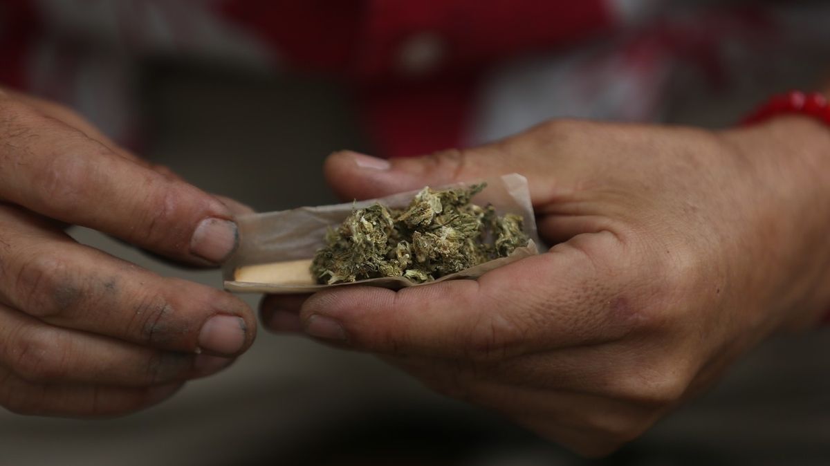 Hledá se majitel marihuany za desítky milionů